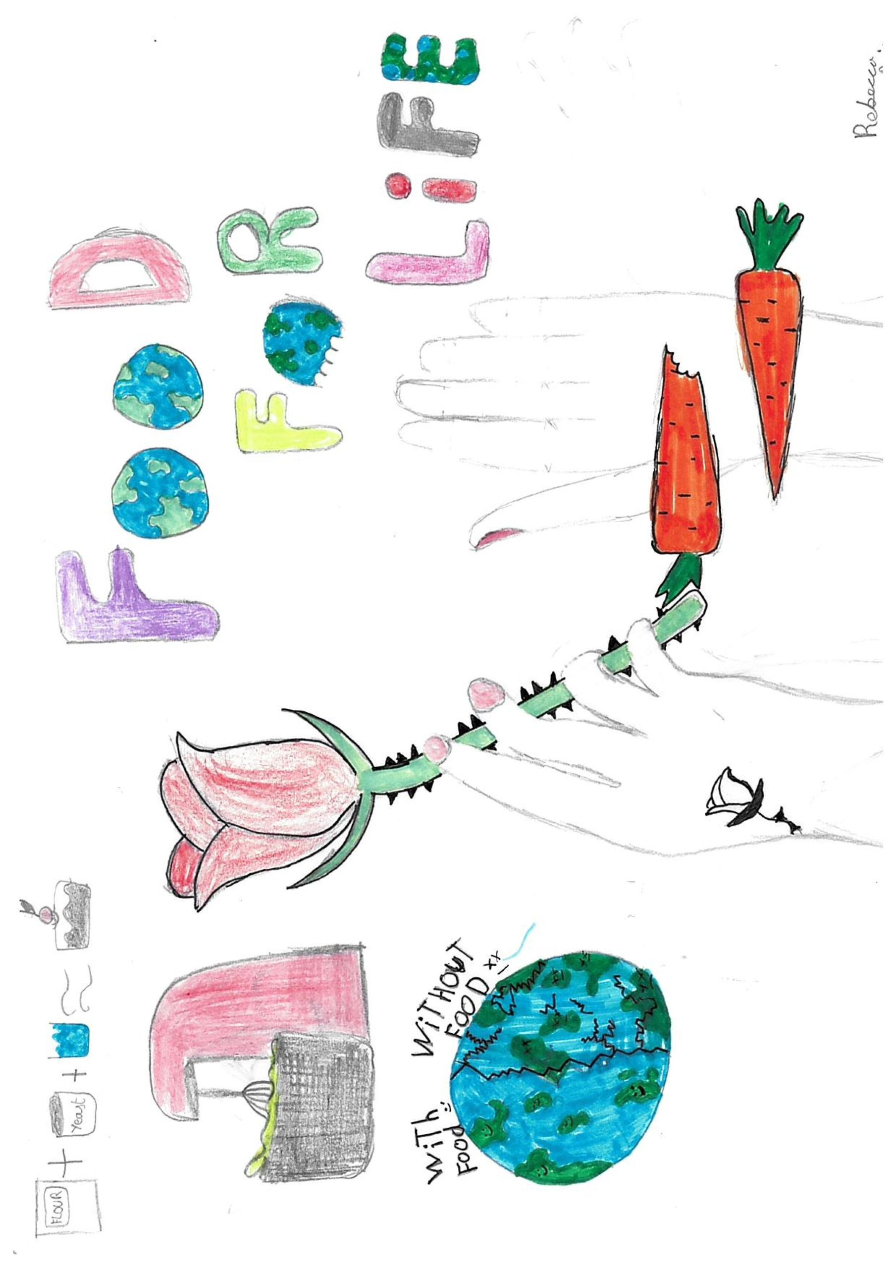Hand drawn colourful image of two hands, one holding a rose, with the words "Food for life" with drawings of carrots, a whisk, and a drawing of planet earth split in half with one side labelled "With food" and the other "without food"